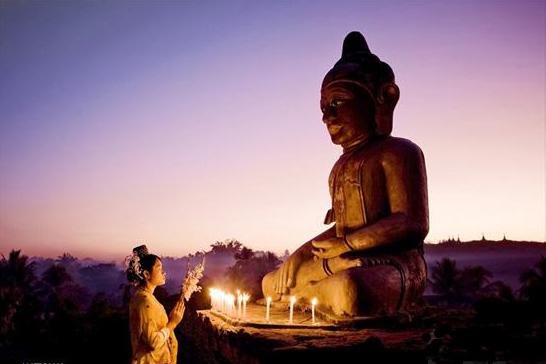 �������ˣ�������Ϊ�λ��г��˵��ǻۣ�