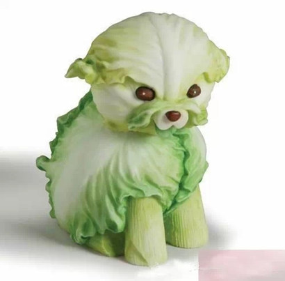 厨房里的艳照 厨房里的艳照