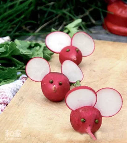 厨房里的艳照 厨房里的艳照