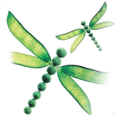 厨房里的艳照 厨房里的艳照