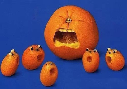 厨房里的艳照 厨房里的艳照