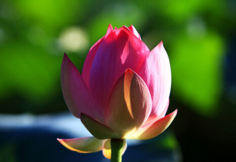 看得透吗?异性诱人美色背后的黑洞 看得透吗?异性诱人美色背后的黑洞