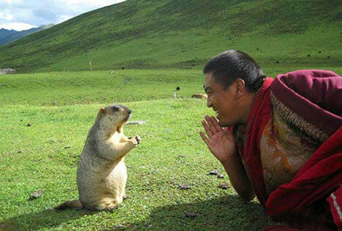 �������ݷ�Ķ����𣿾�������̫�а��ˣ�����������ʱ�򲻷�����...