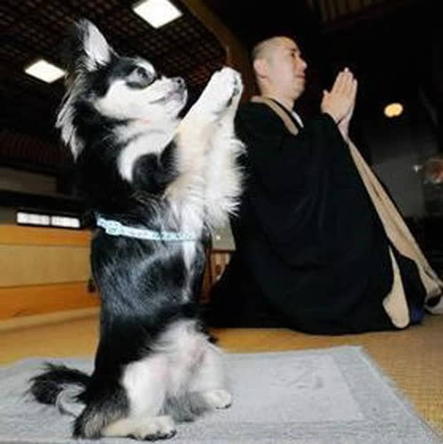 �������ݷ�Ķ����𣿾�������̫�а��ˣ�����������ʱ�򲻷�����...