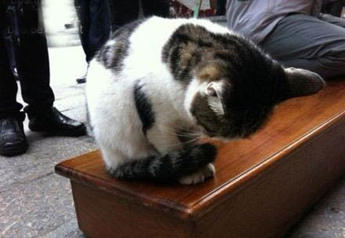 �������ݷ�Ķ����𣿾�������̫�а��ˣ�����������ʱ�򲻷�����...