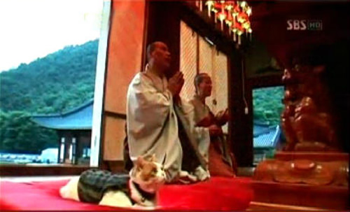 �������ݷ�Ķ����𣿾�������̫�а��ˣ�����������ʱ�򲻷�����...