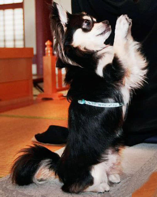 �������ݷ�Ķ����𣿾�������̫�а��ˣ�����������ʱ�򲻷�����...