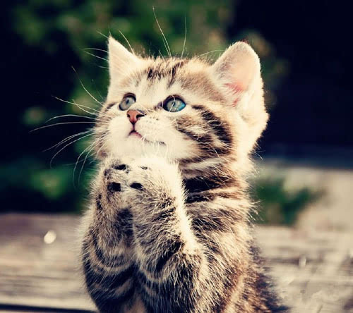 �������ݷ�Ķ����𣿾�������̫�а��ˣ�����������ʱ�򲻷�����...