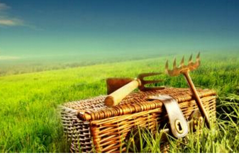 ��������ϰ�߱�ѧУ��������Ӱ��һ���˵��Ը�