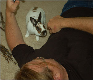 ���������ʵ�¼�_�������������ԡ�����֤(ͼ)