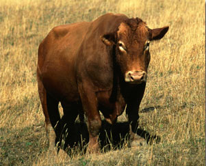 ���������ʵ�¼�_�������������ԡ�����֤(ͼ)