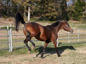 ���������ʵ�¼�_�������������ԡ�����֤(ͼ)