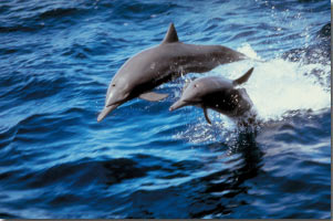 ���������ʵ�¼�_�������������ԡ�����֤(ͼ)