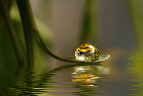 星云大师:食存五观 星云大师:食存五观