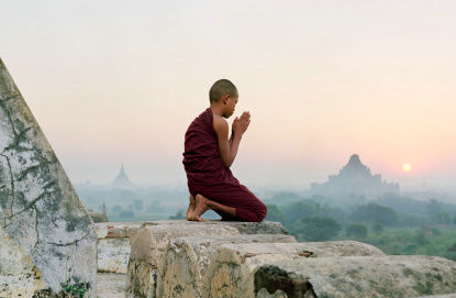 �����ܼ��ʣ���˵���粻ʳ������5������