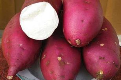 排毒八大食物,来给肠胃洗洗澡吧! 排毒八大食物,来给肠胃洗洗澡吧!