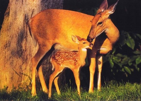 һλ�����������ʵ����