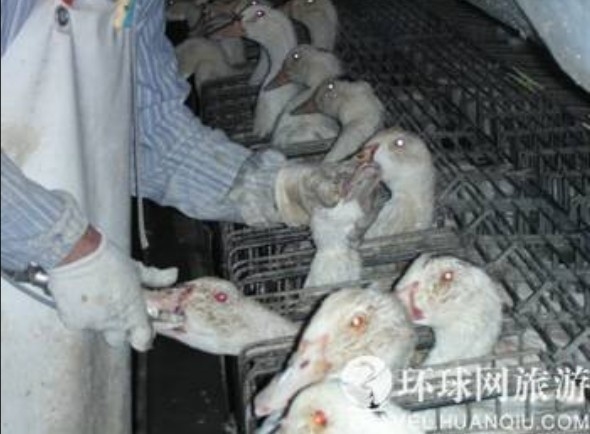 ���ض�β��̵���������