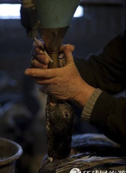 ���ض�β��̵���������