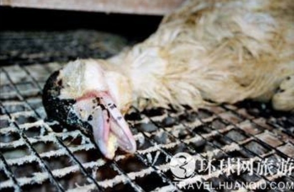 ���ض�β��̵���������