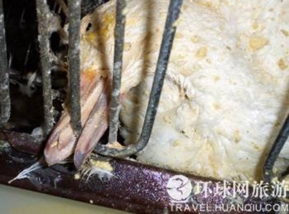 ���ض�β��̵���������