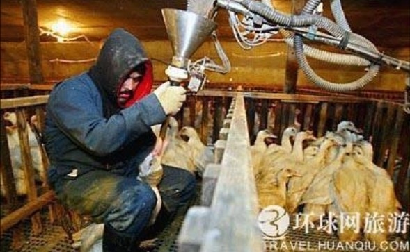 ���ض�β��̵���������