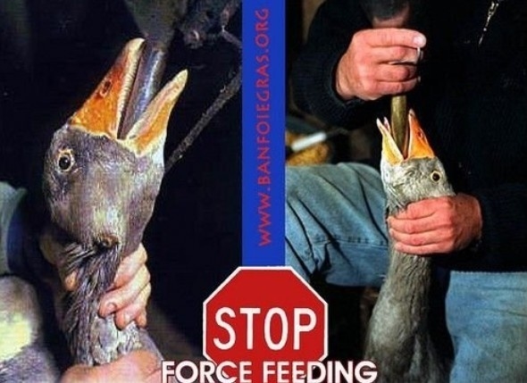 ���ض�β��̵���������