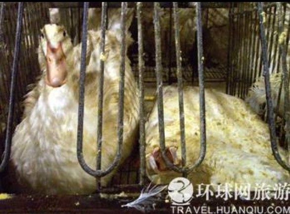 ���ض�β��̵���������