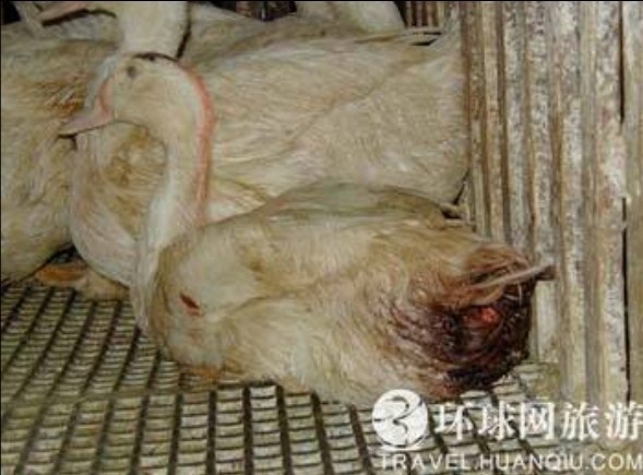 ���ض�β��̵���������