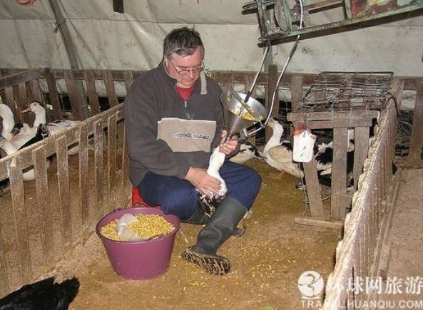 ���ض�β��̵���������