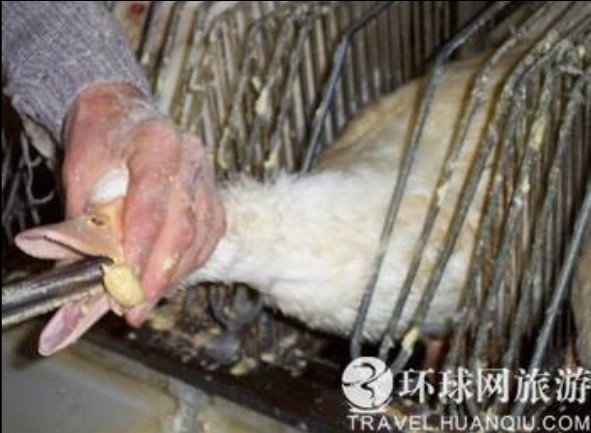 ���ض�β��̵���������