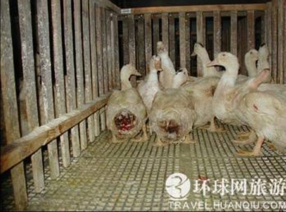 ���ض�β��̵���������