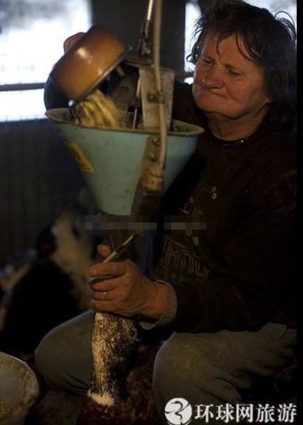 ���ض�β��̵���������