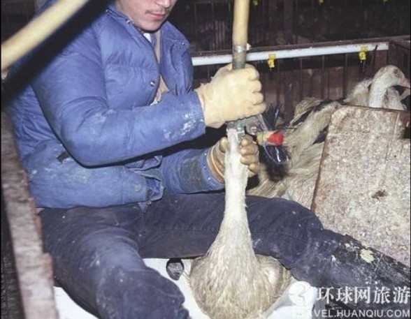 ���ض�β��̵���������