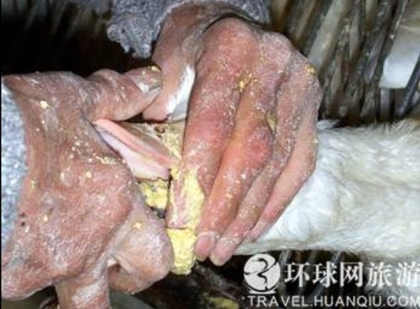 ���ض�β��̵���������