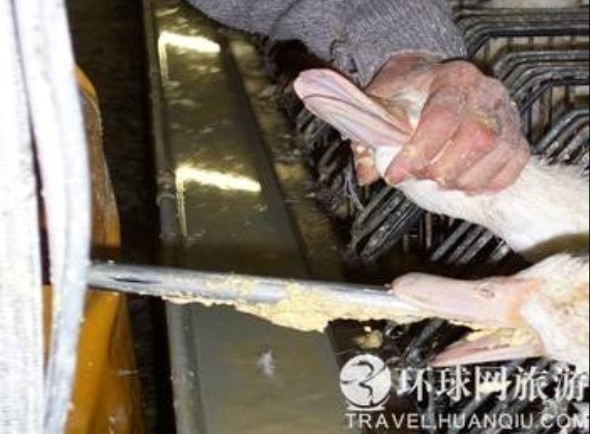 ���ض�β��̵���������