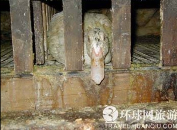 ���ض�β��̵���������