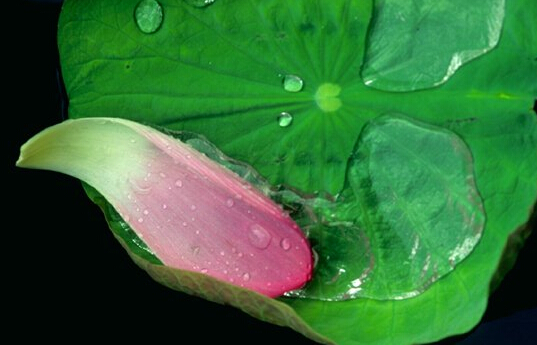 ��һ��ʦ���в��ܶ�����ͻ���_�������