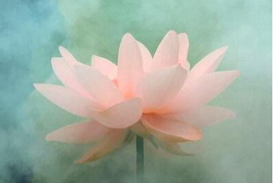 为何佛说一切山河大地如同虚空里的花? 为何佛说一切山河大地如同虚空里的花?