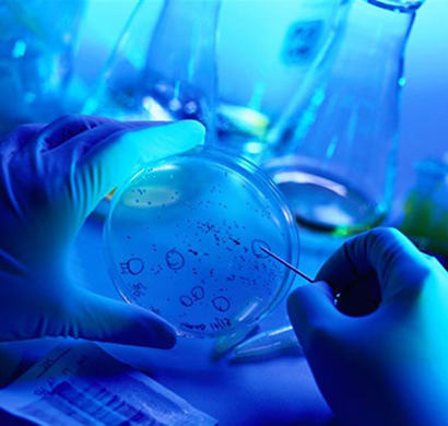 长期吃素的副作用——科学家的惊人发现! 长期吃素的副作用——科学家的惊人发现!