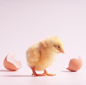 �����Ϊ�����м��������е���