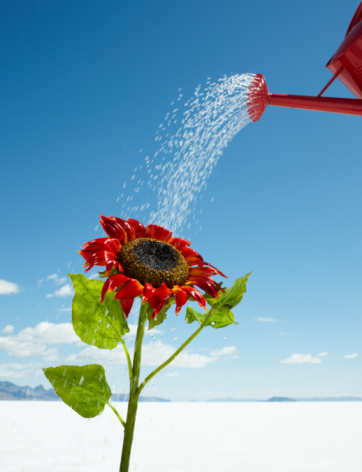 【常识•健康】补精的方法全攻略 【常识•健康】补精的方法全攻略