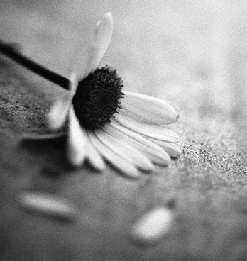 ���ͽ�Ƿ�����ɱ����