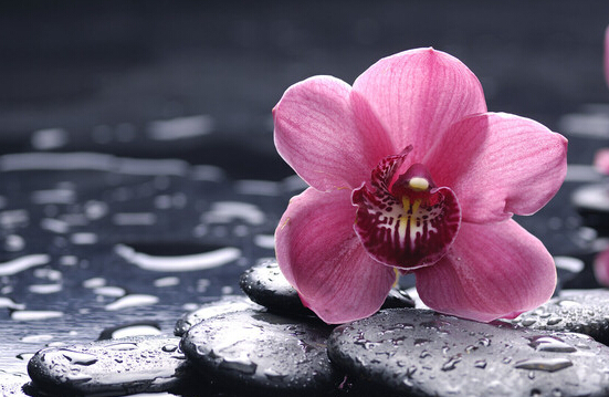 ���ӽ����������������֪ʶ��ǰ�����