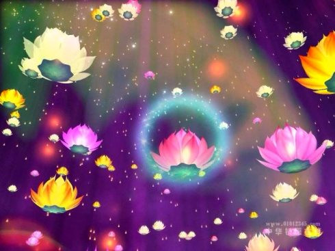 а����ͷ�ı�Ӧ