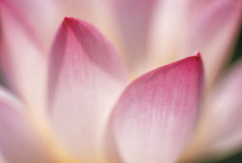 ��˵Ҫ�ڷ�ѧϰ���ֱ�Ҫ������������