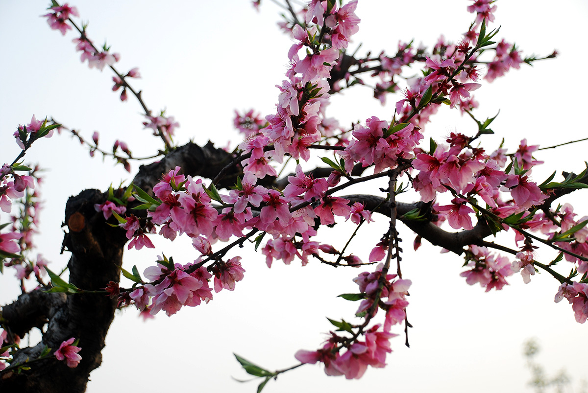 ����������ѧ����ɻ��ڡ��������·��׾�����������