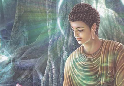 ��������������������˵������