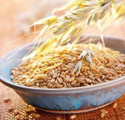 ���ƽ���_11����ʳ���㽵֬�峦