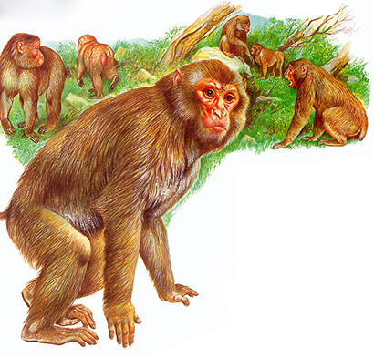 �˵�ɳ�ű�⨺�֮������_֤�ð��޺���